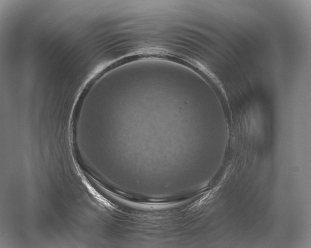 X0000058131037200509231113