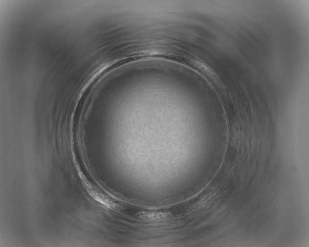 X0000058131039200509231113