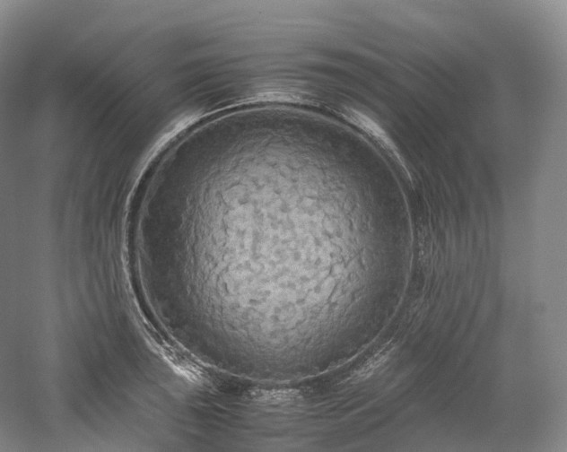 X0000058131043200509231113