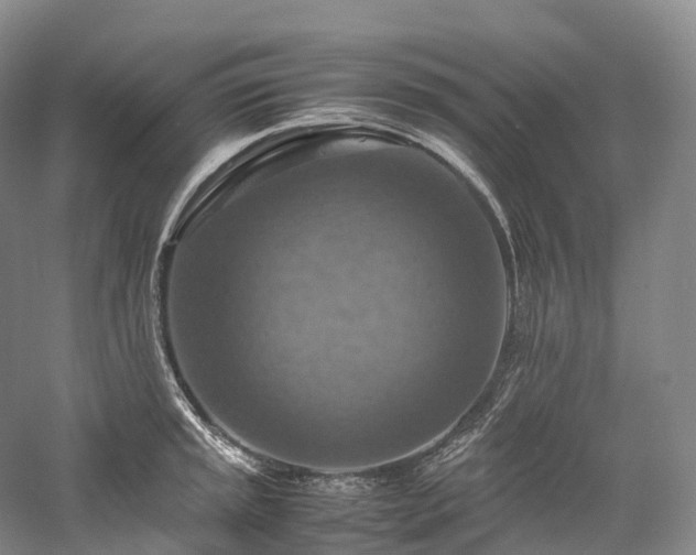 X0000058131045200509231113