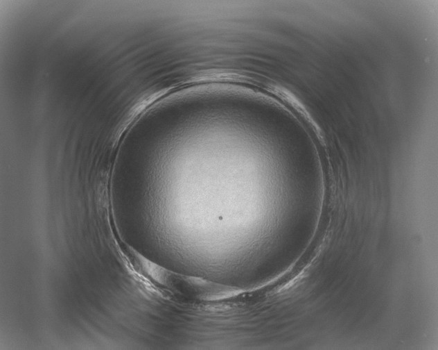 X0000058131049200509231113