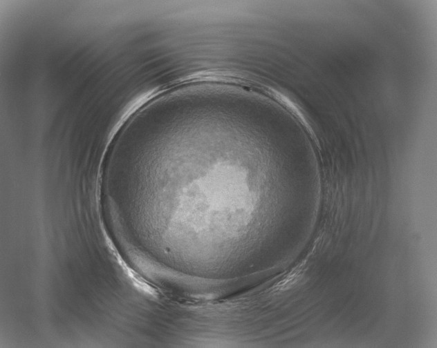X0000058131050200509231113