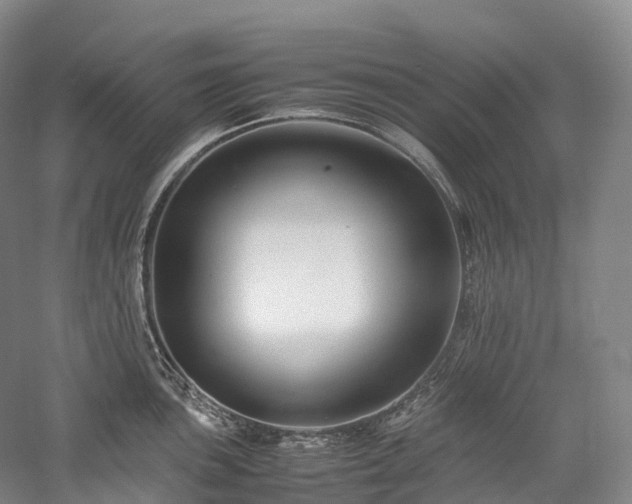 X0000058131051200509231113