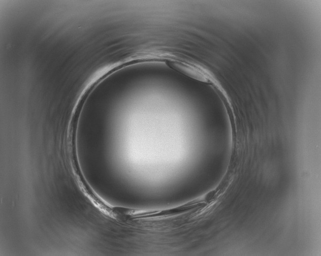 X0000058131053200509231113