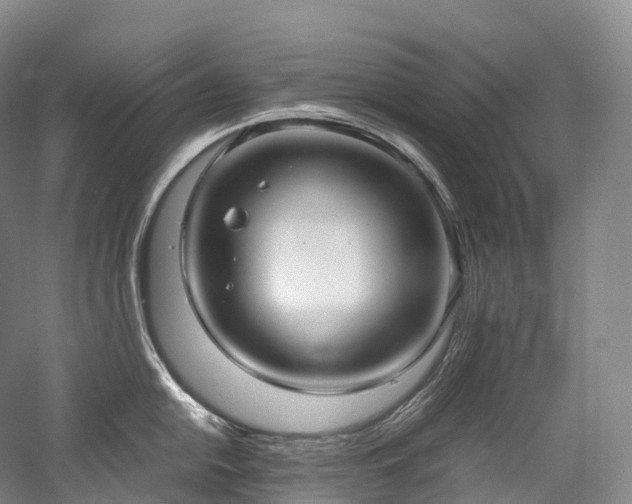 X0000058131054200509231114