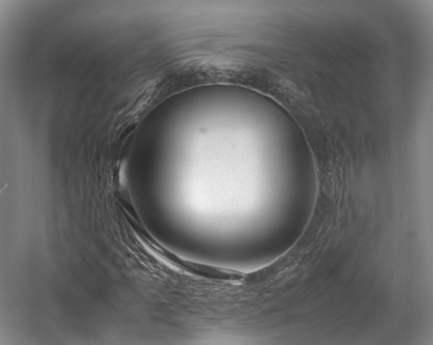X0000058131061200509231113