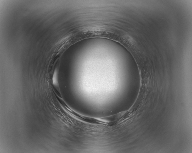 X0000058131062200509231113