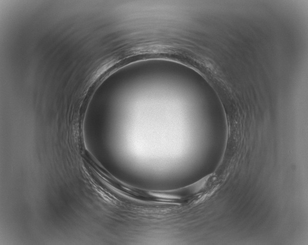 X0000058131073200509231112