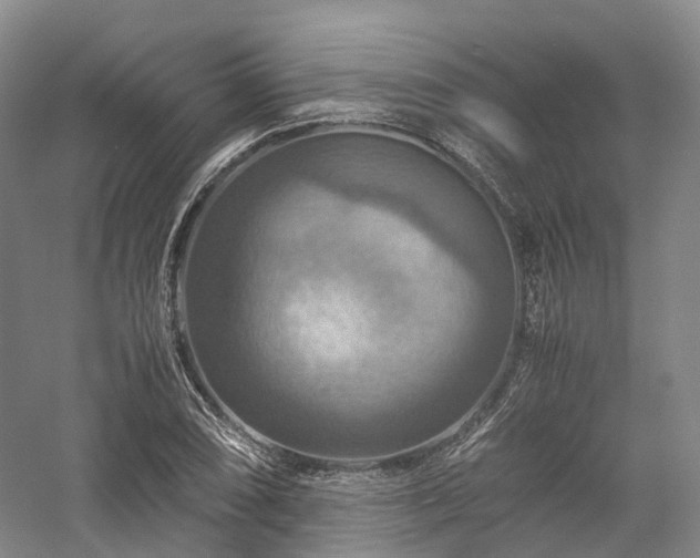 X0000058131074200509231112