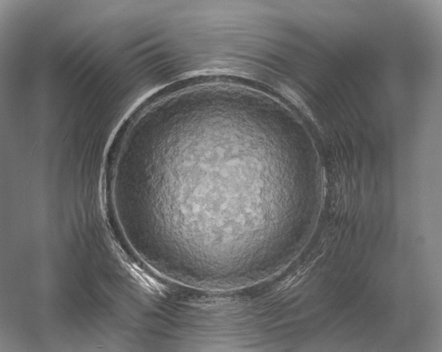 X0000058131076200509231112