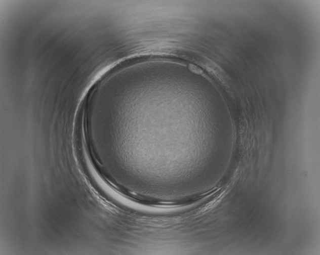 X0000058131077200509231112