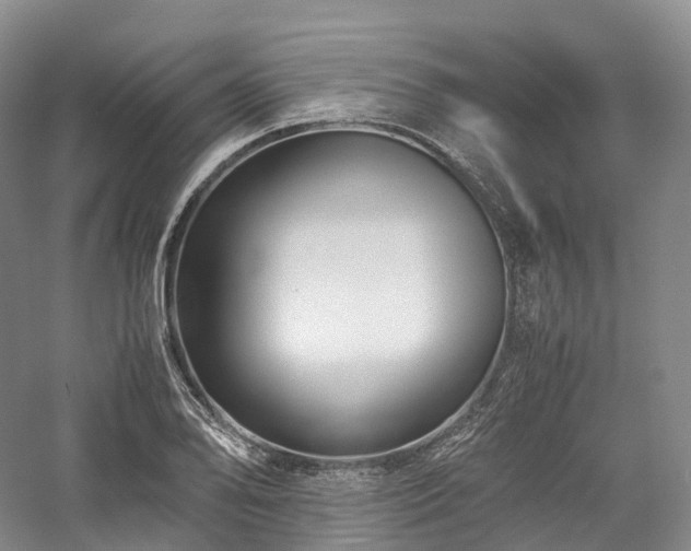 X0000058131078200509231112