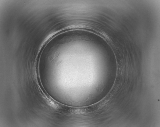 X0000058131086200509231112