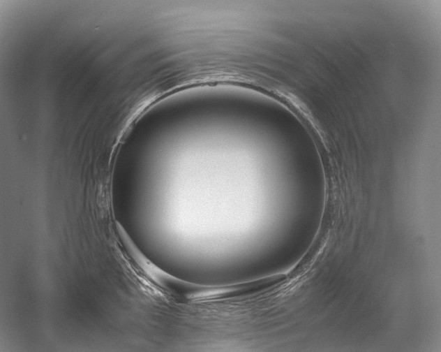 X0000058131097200509231112