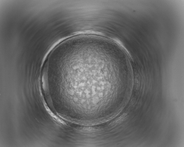 X0000058131100200509231112
