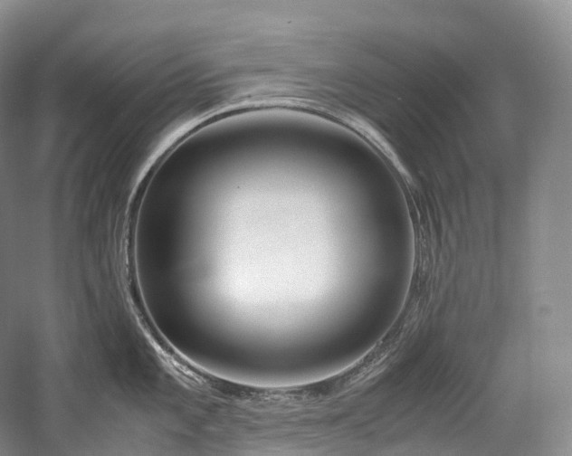 X0000058131101200509231112