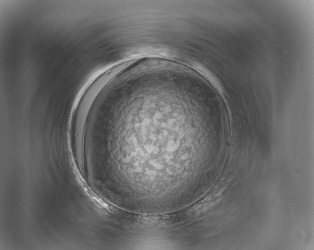 X0000058131104200509231112