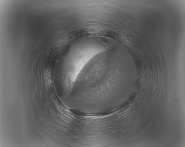 X0000058131106200509231111