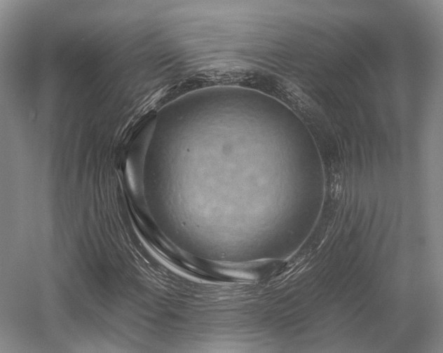 X0000058131108200509231111