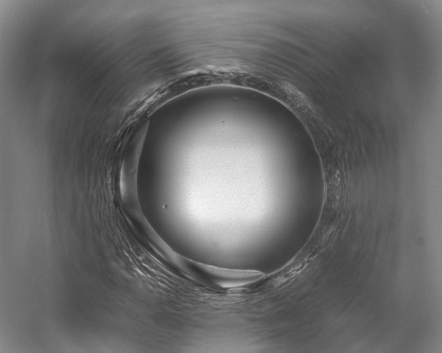 X0000058131110200509231111