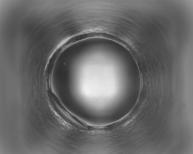 X0000058131118200509231111