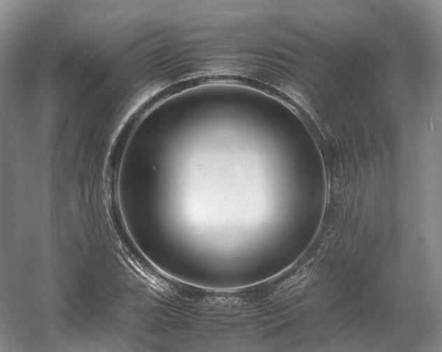 X0000058131119200509231111