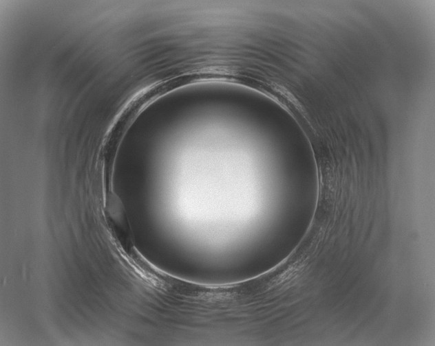 X0000058131123200509231111