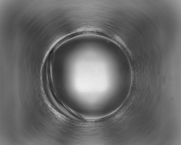 X0000058131124200509231111