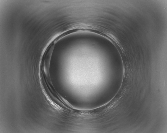 X0000058131128200509231111