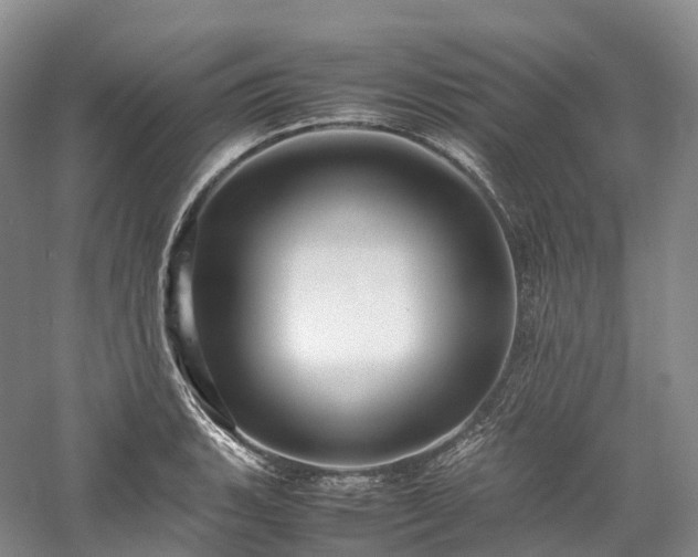 X0000058131135200509231112
