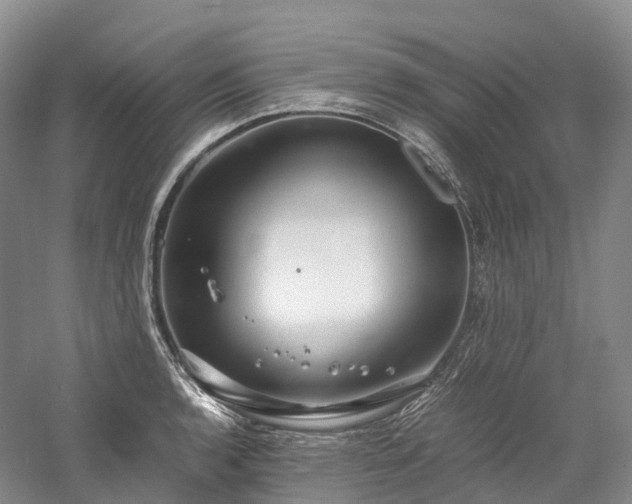 X0000058131136200509231112