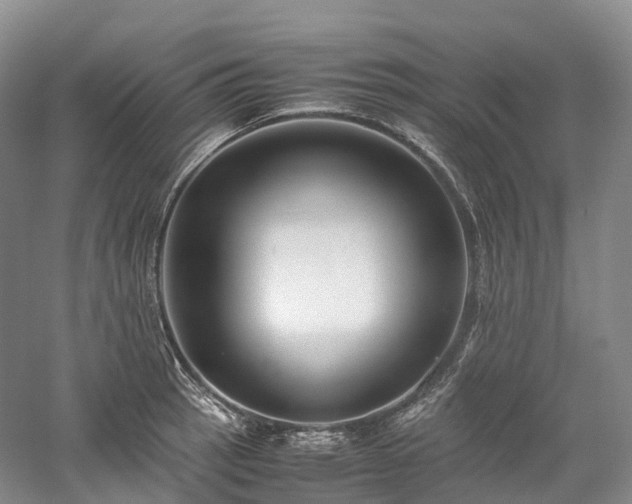 X0000058131137200509231112