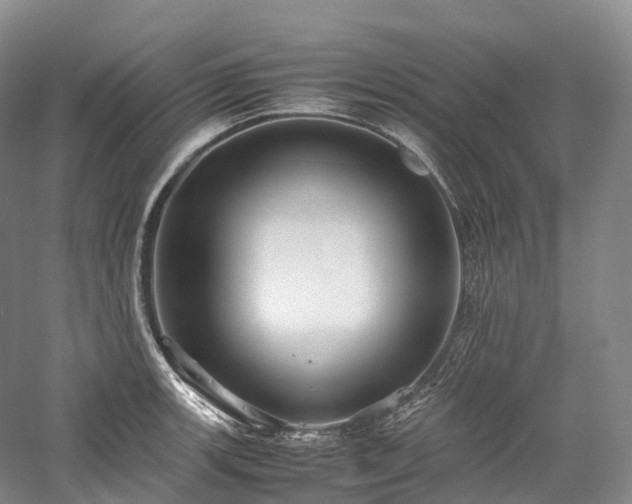 X0000058131139200509231112
