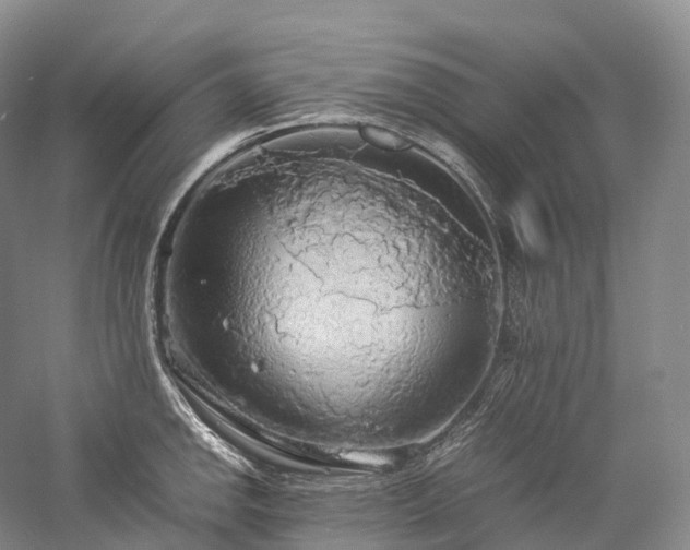 X0000058131142200509231112