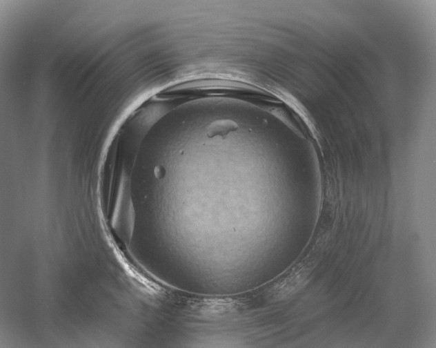 X0000058131144200509231112