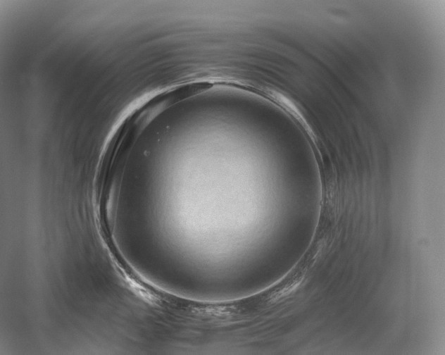 X0000058131149200509231112