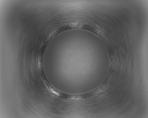 X0000058131154200509231111