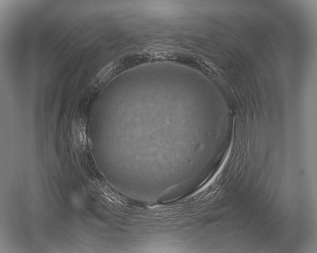 X0000058131155200509231111