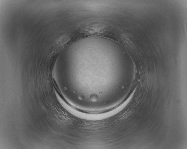 X0000058131156200509231111