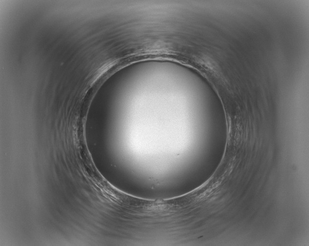 X0000058131162200509231111