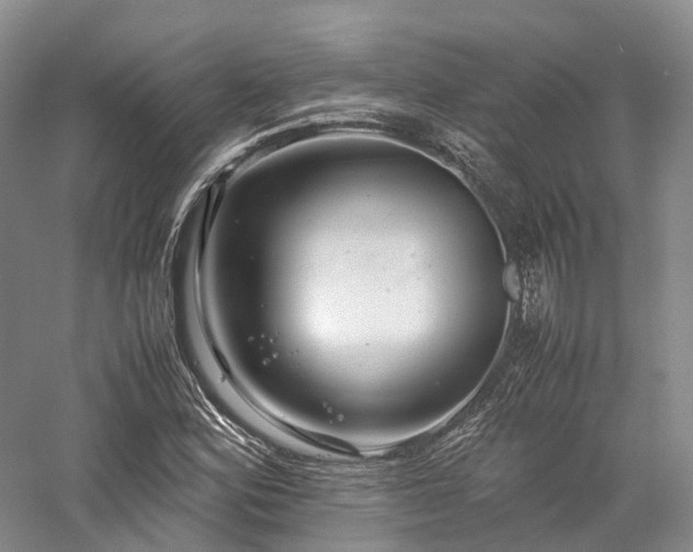 X0000058131164200509231111