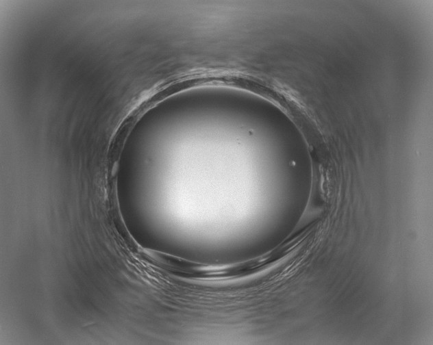 X0000058131165200509231111