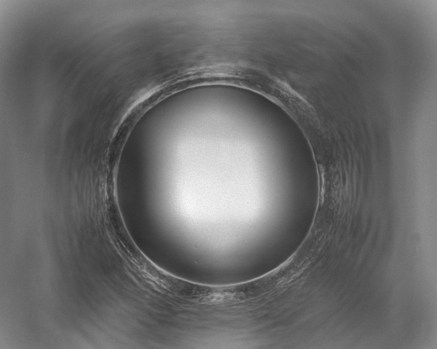 X0000058131166200509231111