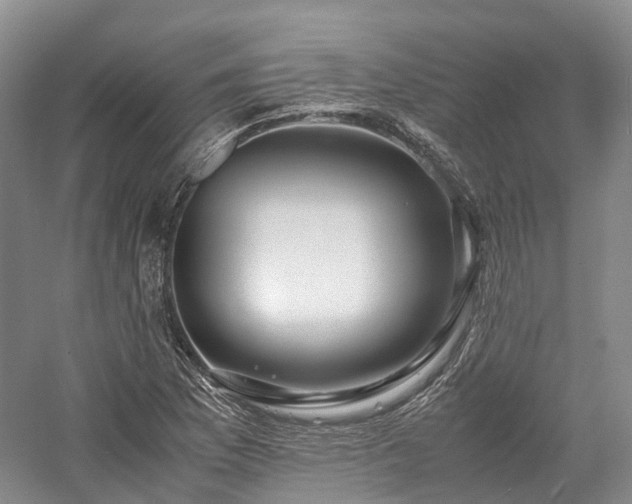 X0000058131169200509231111