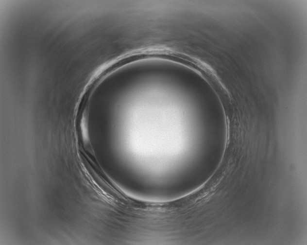 X0000058131176200509231111