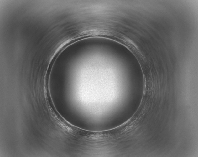 X0000058131182200509231111