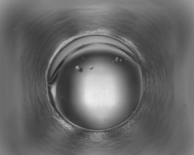 X0000058131184200509231111