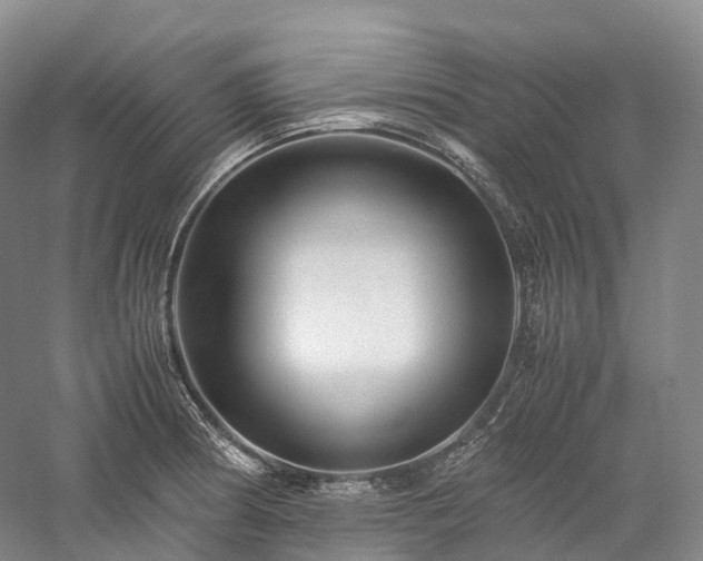 X0000058131186200509231110