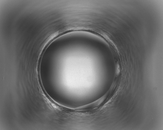 X0000058131189200509231110