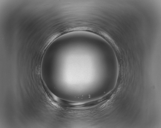 X0000058131193200509231110